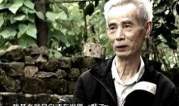 热门爆料视频国家,视频内容深度解析